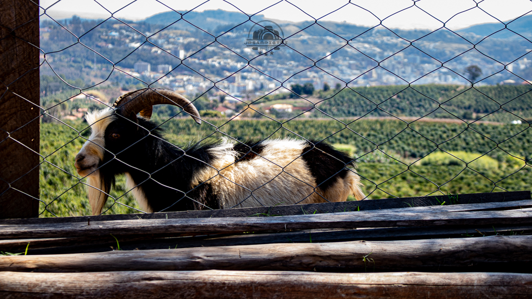 JPSampietri Photo Highlight 1