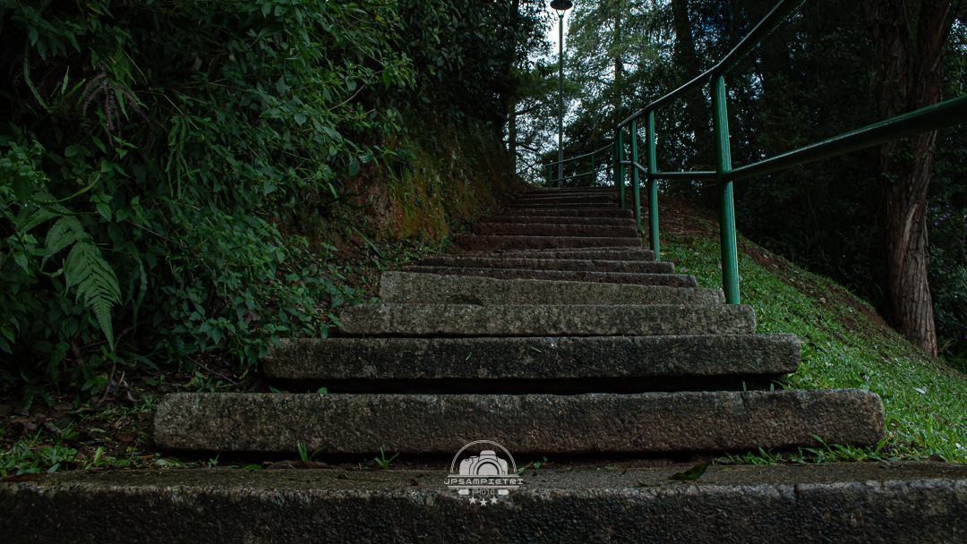 JPSampietri Photo Highlight 1