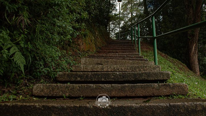 JPSampietri Photo Highlight