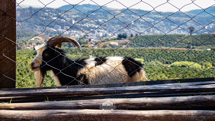 JPSampietri Photo Highlight