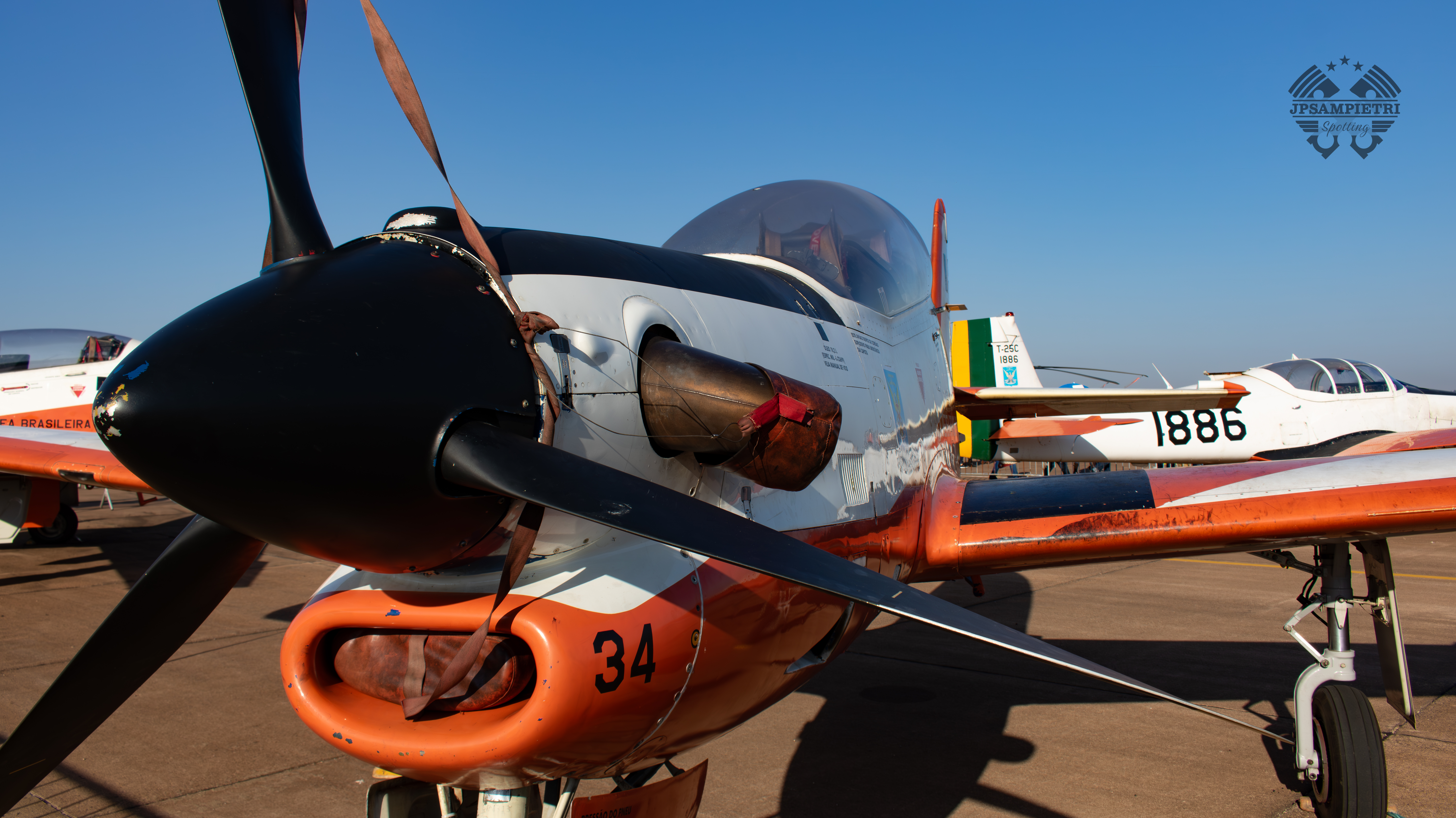 JPSampietri Spotting Highlight