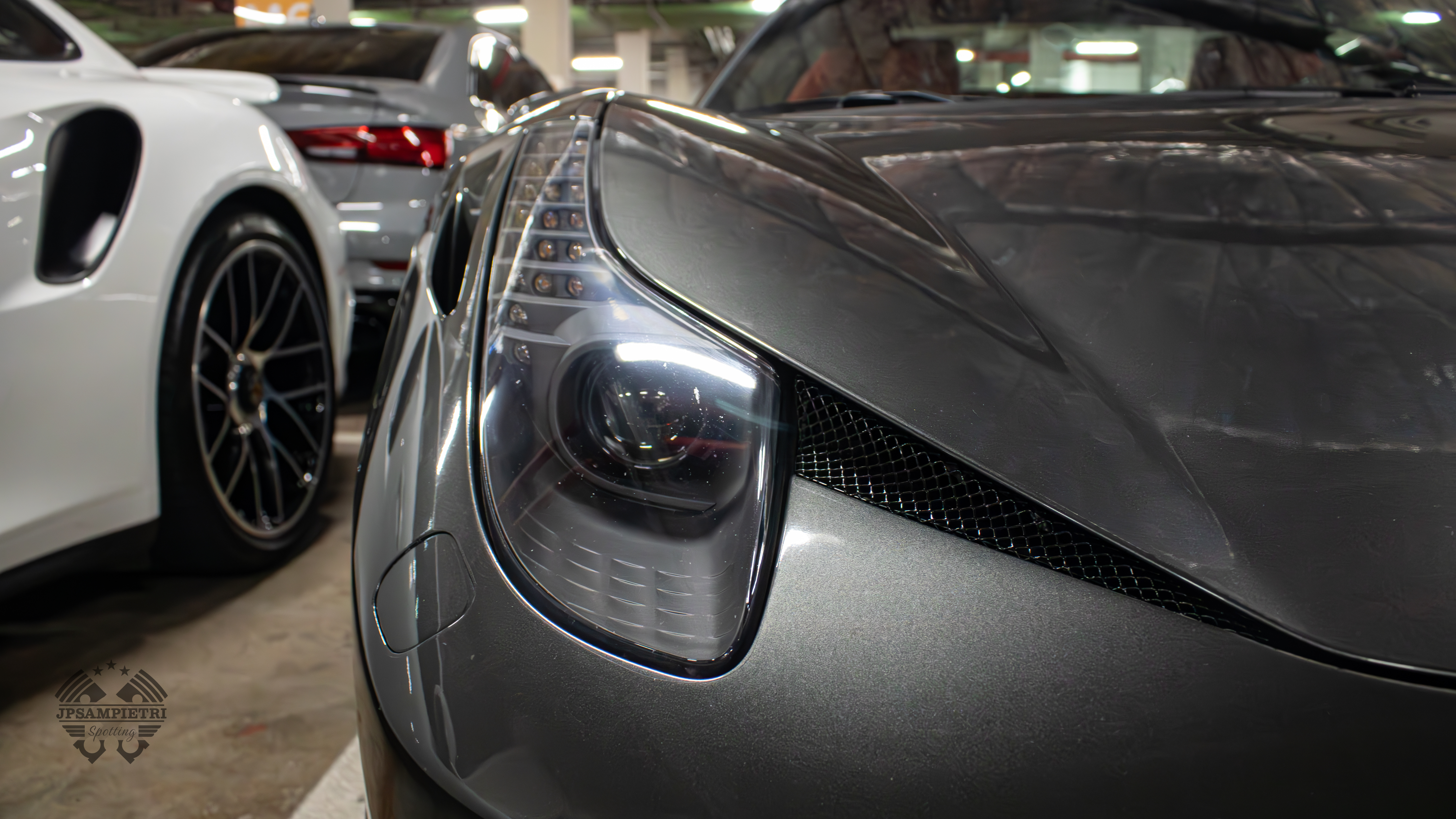 JPSampietri Spotting Highlight