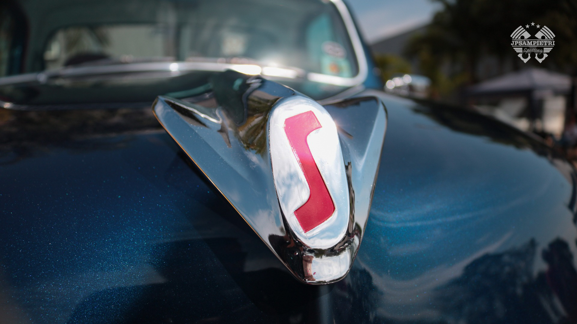 JPSampietri Spotting Highlight