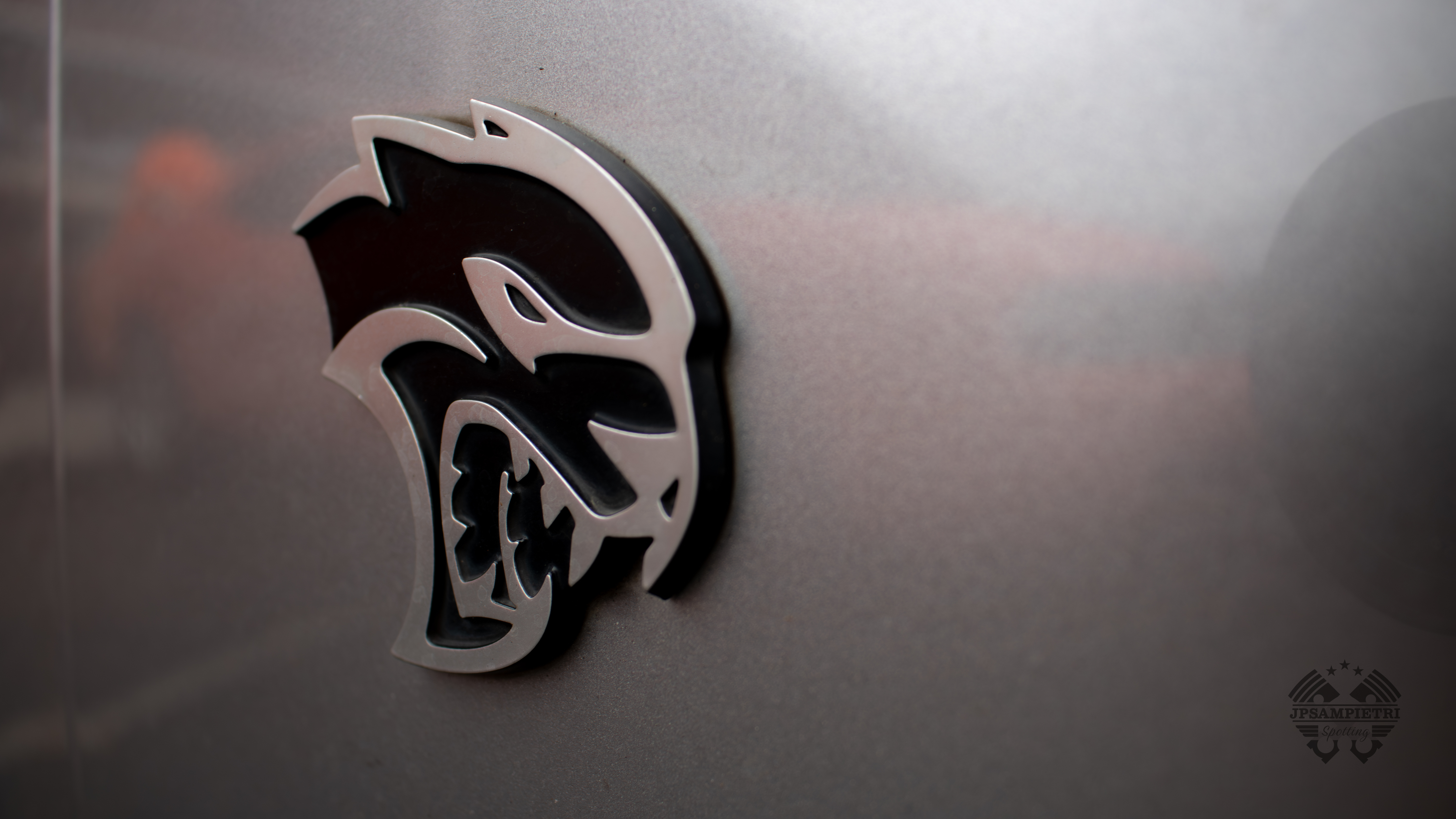 JPSampietri Spotting Highlight